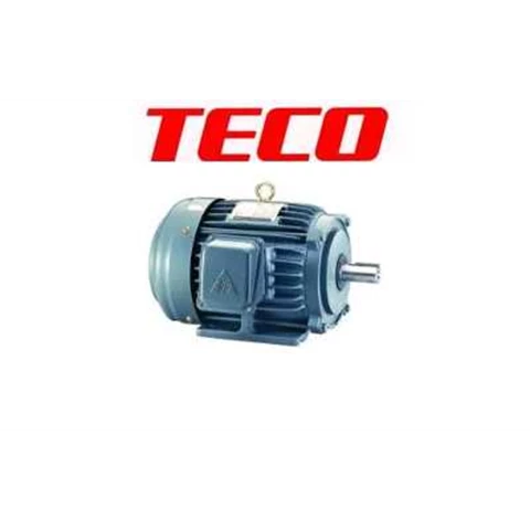 TECO Motor Electric