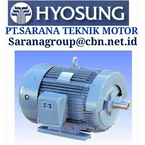 Hyosung Electric Motors High Medium Voltage