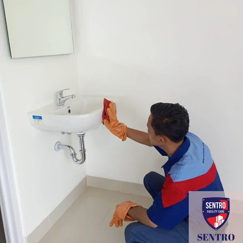 toilet/WC cleaning