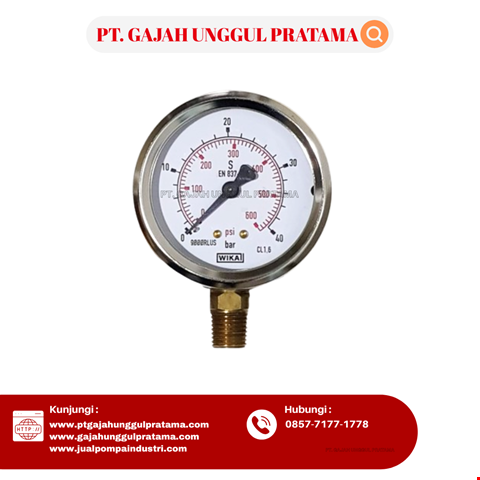 Pressure Gauge WIKA Model 213.53.063 0-600 Psi