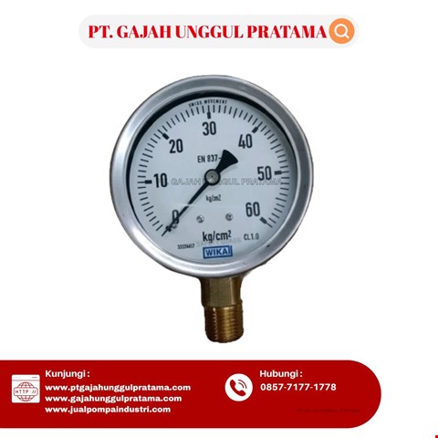 Pressure Gauge WIKA Model 213.53.100 0-60 Kg/cm2