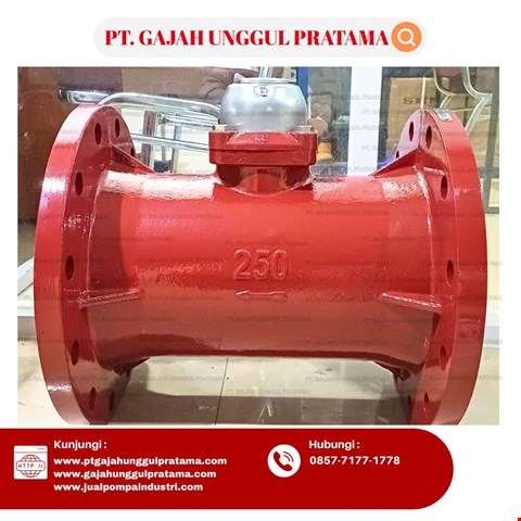 WOLTMAN FLOWMETER HOT SHM DN 250 (10 Inci)