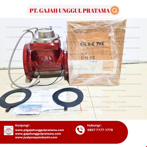 WOLTMAN FLOWMETER HOT PULSE SHM DN 80 (3 Inci)
