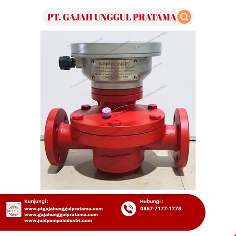 SHM OVAL GEAR ANALOG FLOWMETER DN25 (1 INCH)