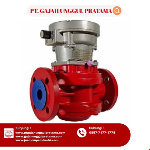 SHM ROOTS ANALOG FLOWMETER DN25 (1 INCH)