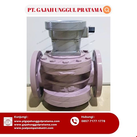 SHM ROOTS ANALOG FLOWMETER DN80 (3 INCH)