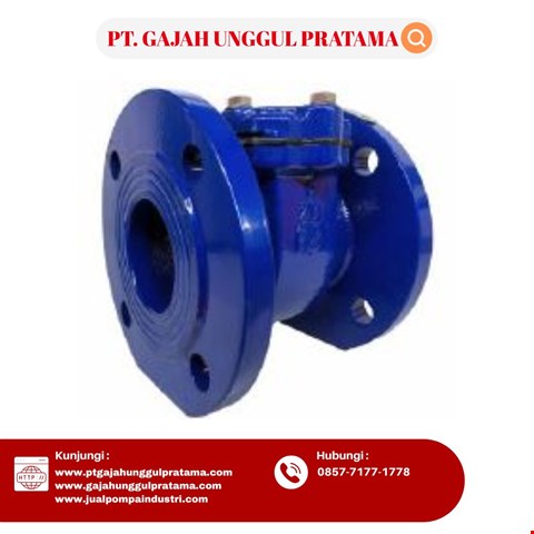 Bulkstrain Strainer SHM Size 6 Inch DN 150