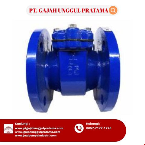 Bulkstrain Strainer SHM Size 3 Inch DN 80