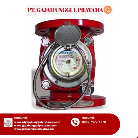 WOLTMAN FLOWMETER HOT PULSE SHM 2 1/2 INCH DN 65