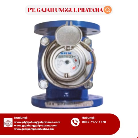 WOLTMAN FLOWMETER SHM PULSE 2 INCH DN 50