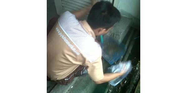 penyalur cleaning service-2
