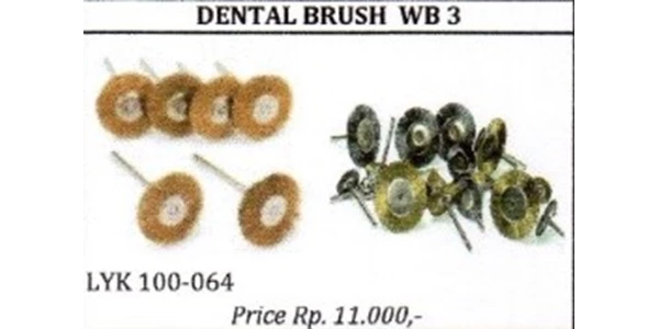dental brush wb 3