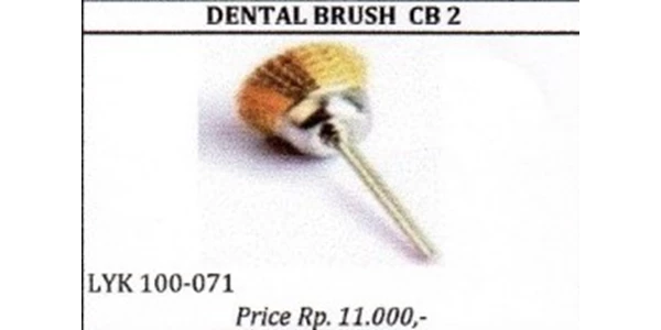 dental brush cb 2