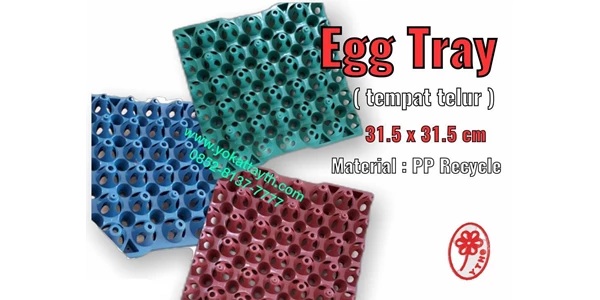tray telur plastik yth ( tempat telur )-1