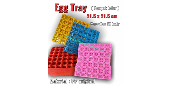tray telur plastik yth ( tempat telur )