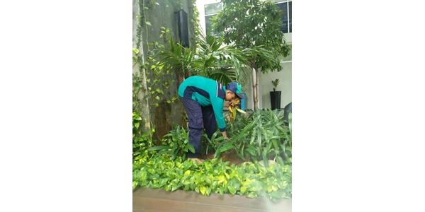 gardener profesional di hotel whyndam