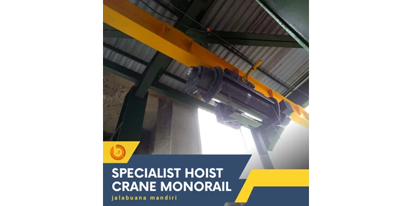 hoist crane monorail