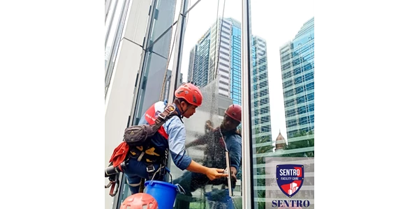 rope access cleaning service-1