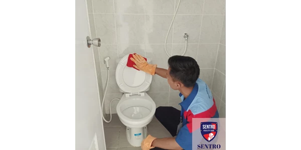 toilet/wc cleaning-3