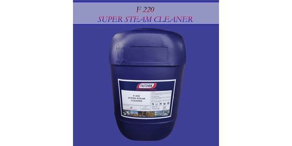 f-220 super steam cleaner