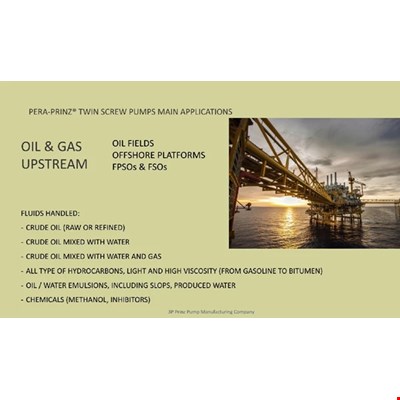  3P PRINZ Twin Screw Pump API 676