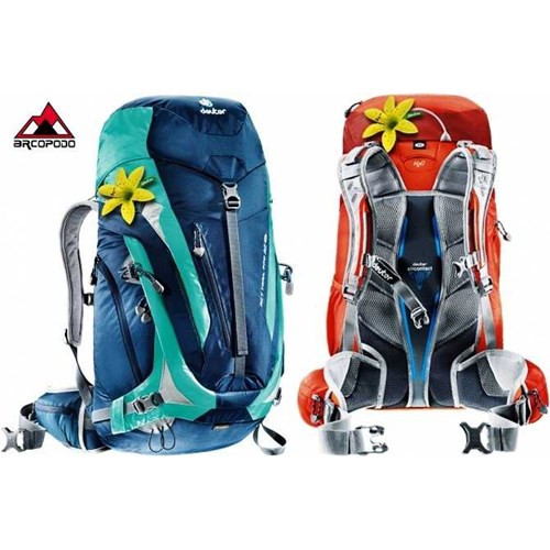 deuter trail 32