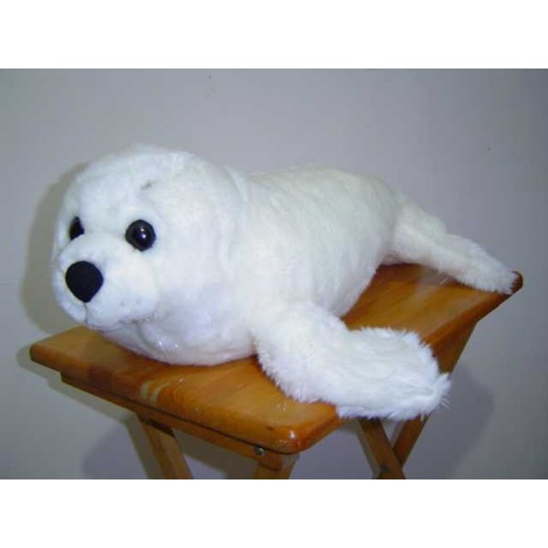 800+ Gambar Binatang Anjing Laut Gratis Terbaik