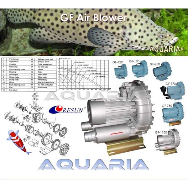 Pompa Udara Air Blower Akuarium & Kolam GF series oleh 