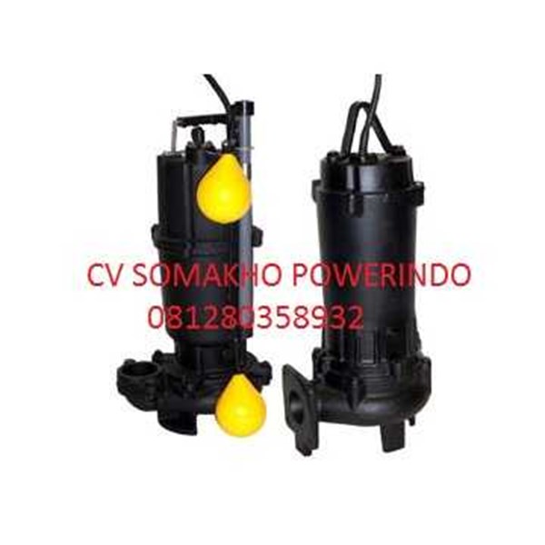 Jual Ebara DS - DVS oleh PT SOMAKHO POWER INDO di Jakarta 