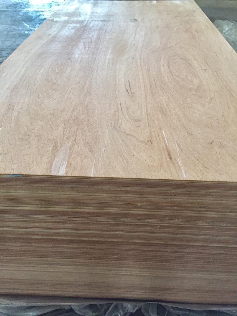 Jual PLYWOOD SENGON MURAH BALANGAN oleh PT. Kaltim Jaya Makmur
